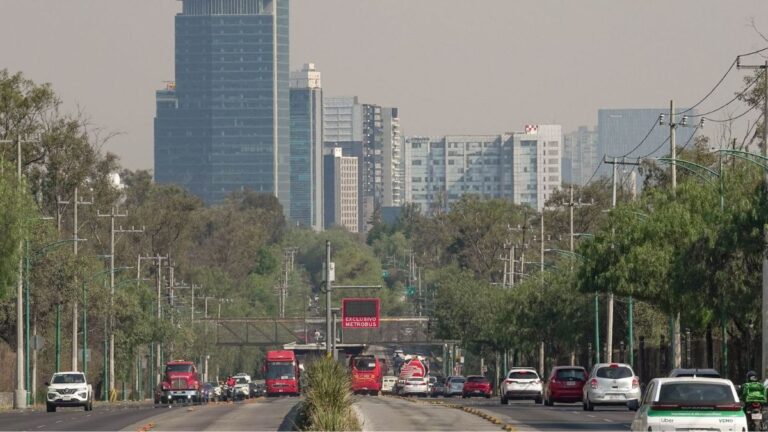 Hoy No Circula en CdMx y Edomex: Conozca los Autos que Descansan el 11 de Junio 2026