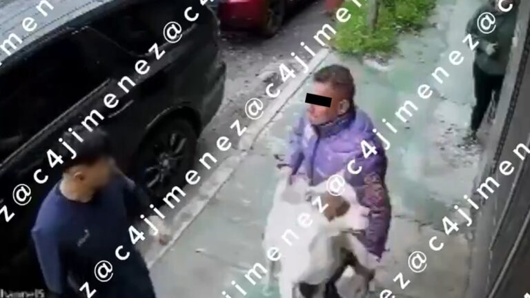 Impactante Pelea de Perros en Nezahualcóyotl: Exagente Golpea a Vecino