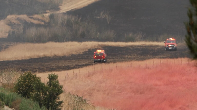 Incendio de maleza en San Diego: 50% contenido y evacuaciones levantadas