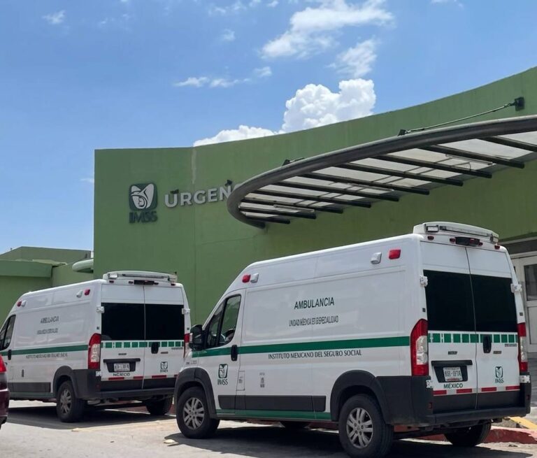 Ataque de Perros Callejeros en el Centro de Saltillo Deja a Mujer Lesionada