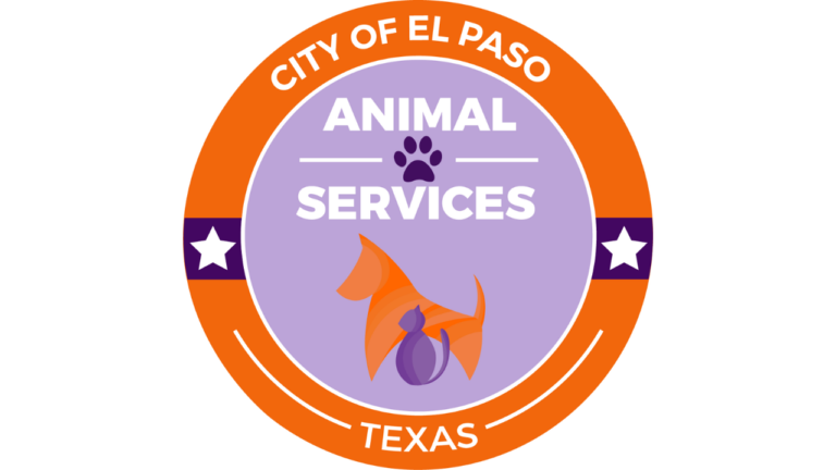 Protección para Mascotas en El Paso este 4 de Julio: Consejos Clave