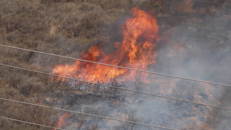 Incendios Forestales en San Diego: Un Llamado Urgente a la Prevención y Preparación