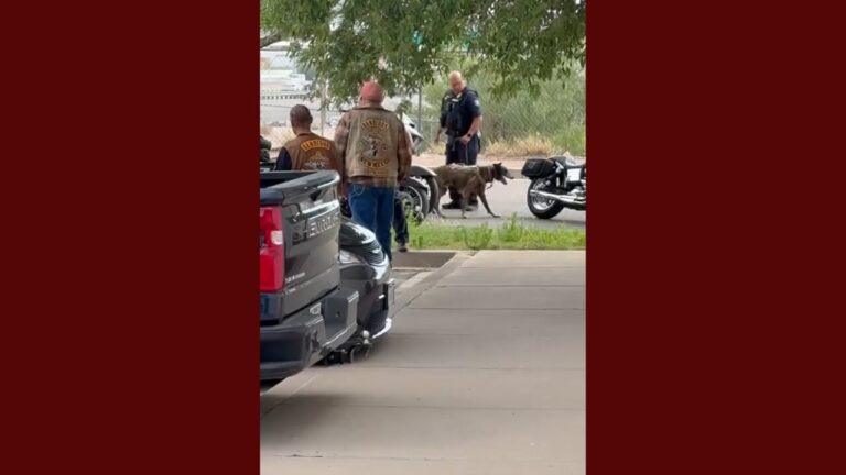 Arrestos en El Paso: Tres Miembros de la Pandilla Bandidos Detenidos por la Patrulla de Caminos de Texas