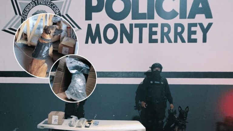 Perro policía detecta marihuana y cristal en la Central de Autobuses de Monterrey