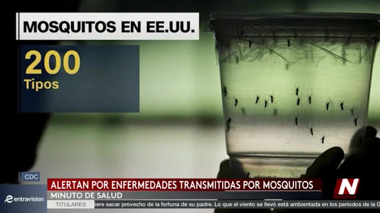 Mosquitos en verano: el riesgo sanitario que más preocupa y cómo prevenirlo