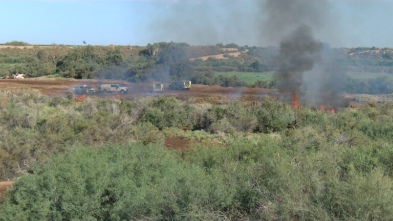 Programa de prevención por incendios forestales