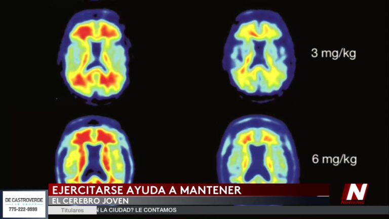 Ejercicio después de los 40: la clave para proteger la salud cerebral y frenar el envejecimiento del cerebro