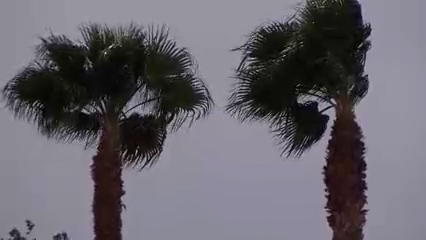 Estudio revela que polvo del Mar de Salton duplica contaminación dentro de hogares en Salton City
