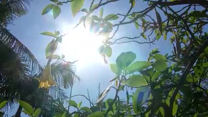 Autoridades alertan sobre riesgos por calor extremo en el Valle Imperial mientras ola de calor deja decenas de muertos en EE. UU.