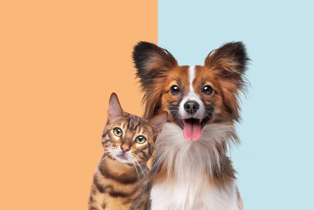 CVS ofrecerá medicamentos para perros y gatos en sus farmacias de todo Estados Unidos