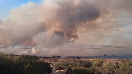 Incendio Thorn en San Diego queda totalmente contenido tras arrasar más de 1,200 acres