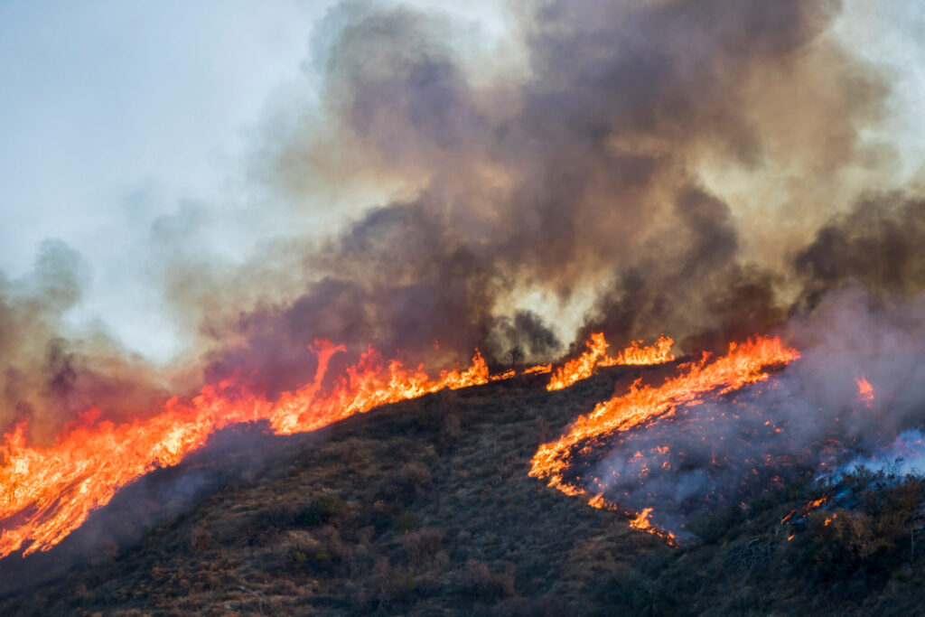 Incendio forestal en Pleasanton provoca evacuaciones en Alameda por el avance de Little Fire