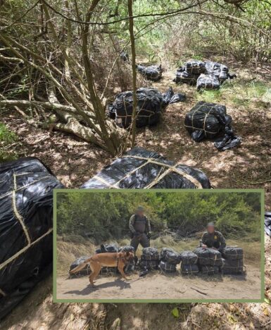 Decomisan casi 500 libras de drogas ilegales en operativo fronterizo