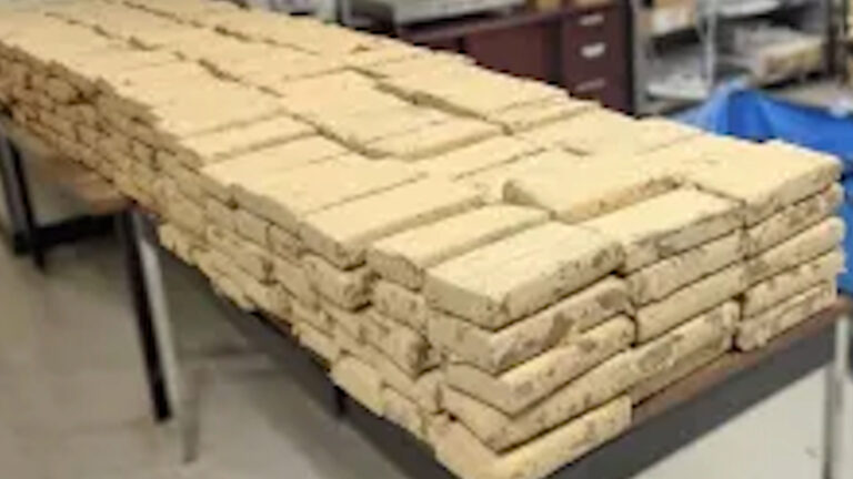Incautan más de 8 mil libras de drogas en puertos fronterizos del sur de California durante julio
