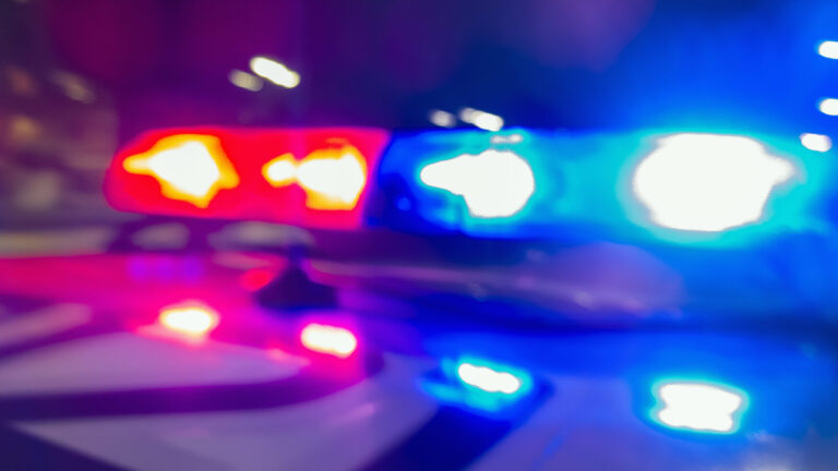 Niño queda gravemente herido tras caerle un árbol en campamento de verano