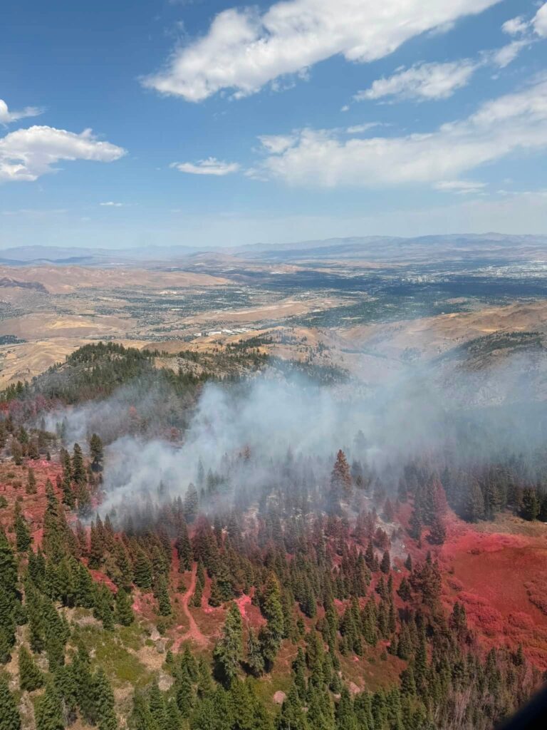 Restauración: 11,000 acres en Nevada recibirán tratamiento aéreo urgente
