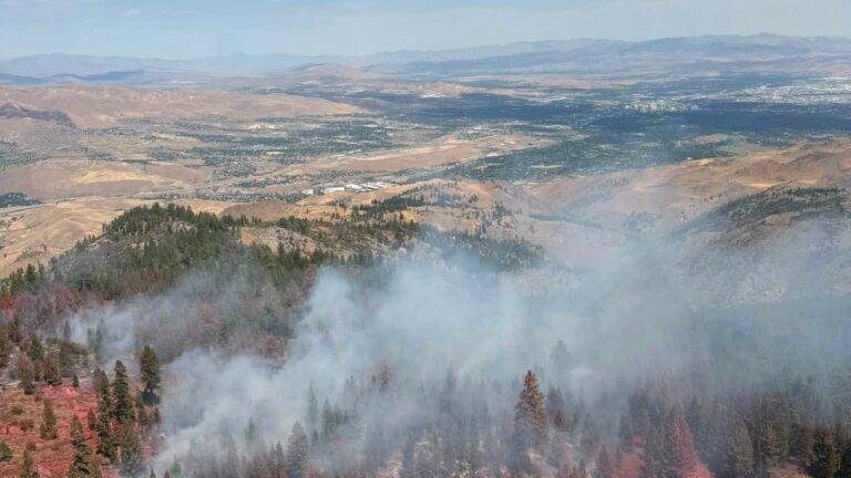 Restauración: 11,000 acres en Nevada recibirán tratamiento aéreo urgente