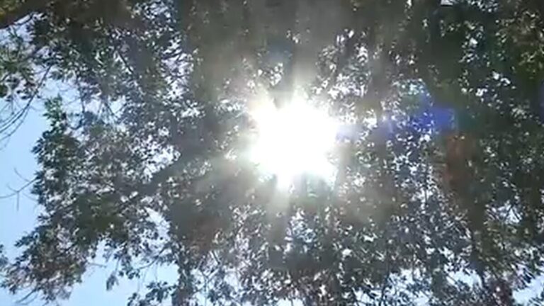 Distrito Escolar Unificado de San Diego toma medidas ante ola de calor