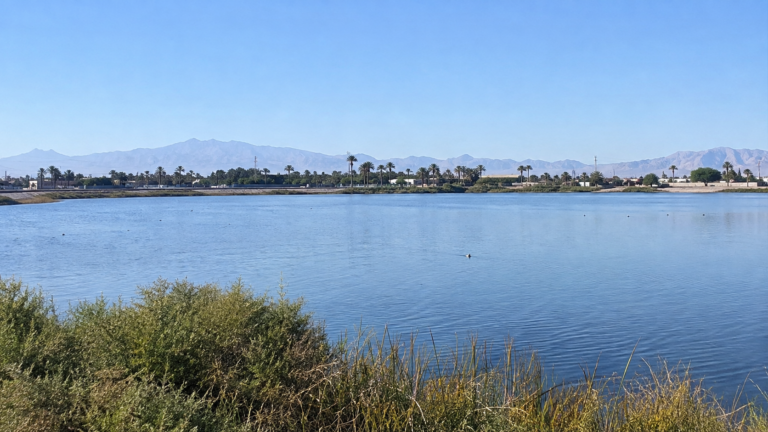 Investigan muerte de peces en la Laguna México