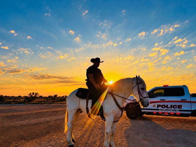 Fallece Maximus, emblemático caballo de la Unidad de Policía Montada del Distrito Escolar de Ector