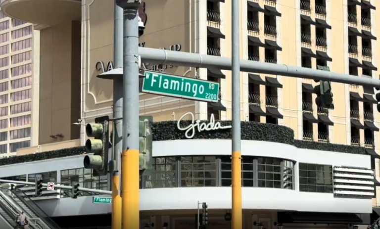 Atropello trágico: peatón en estado crítico tras ser arrollado en Flamingo Road