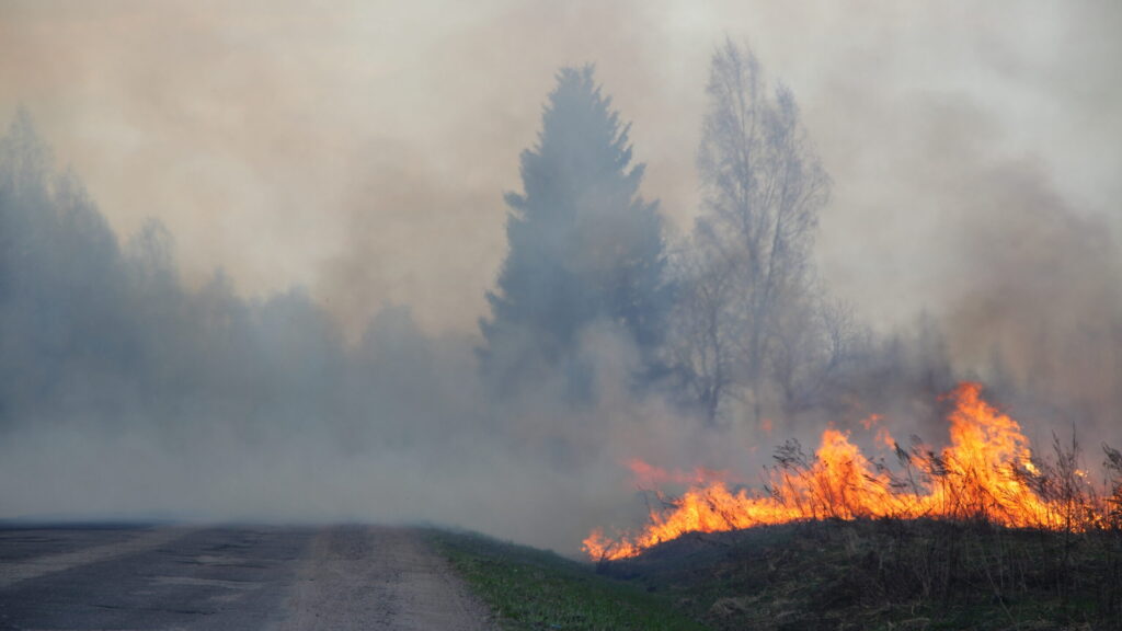 Mejoran las condiciones en Big Sur; levantan más alertas por el Timber Fire