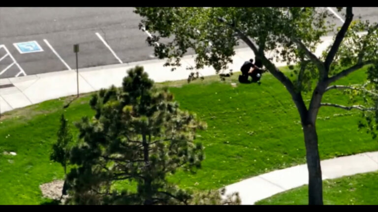 VIDEO: Dron ayuda a capturar a sospechoso que huyó de vehículo robado en Commerce City