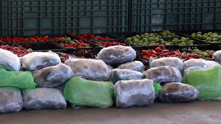 Descubren más de mil 500 libras ocultas en cajas de verduras en Otay Mesa